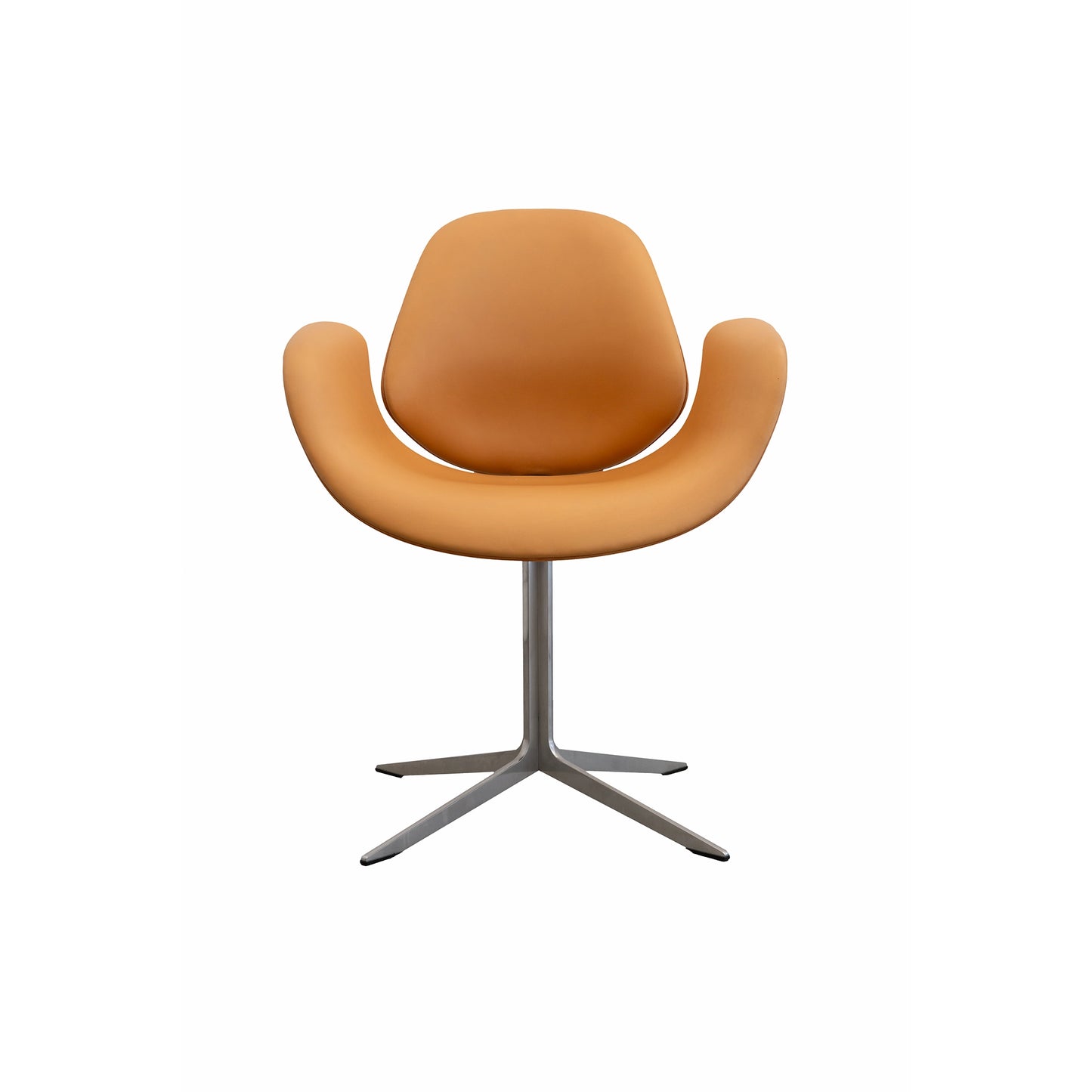 Onecollection Council Chair