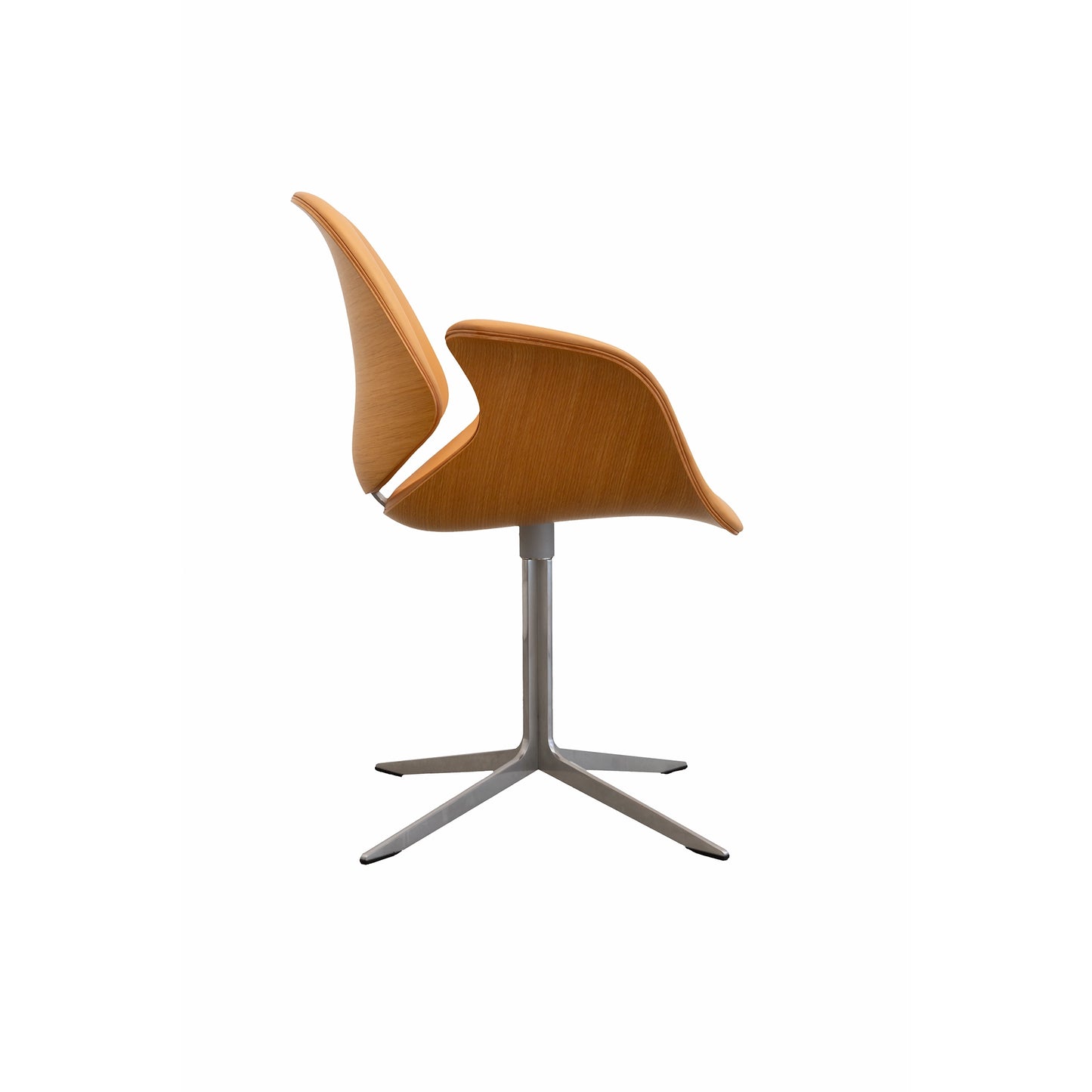 Onecollection Council Chair